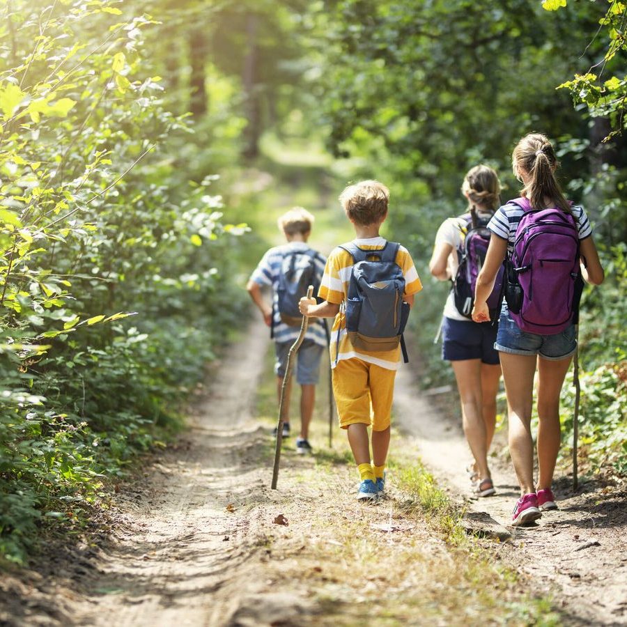 Grupo de niños caminando por un sendero en un bosque.
